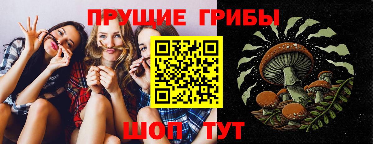 Майский  Псилоцибиновые грибы Psilocybine cubensis  Вход с VPN 
