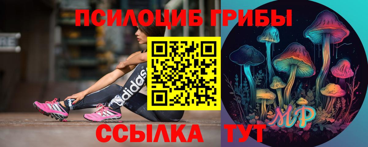 Галлюциногенные грибы Psilocybine cubensis Майский